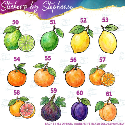 (s02-414) Fruit Illustrated Graphic Iron-On Transfer or Sticker