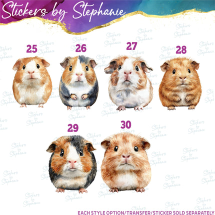(s02A-276) Guinea Pig Illustrated Graphic Iron-On Transfer or Sticker