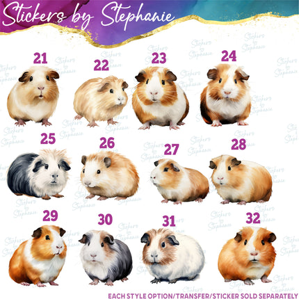 (s02A-279) Guinea Pig Illustrated Graphic Iron-On Transfer or Sticker