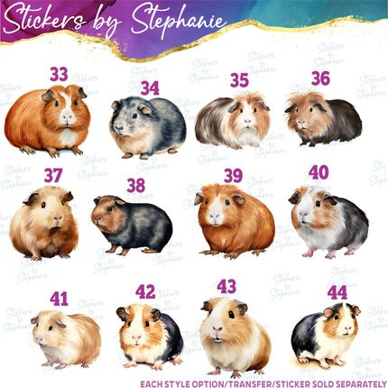 (s02A-279) Guinea Pig Illustrated Graphic Iron-On Transfer or Sticker