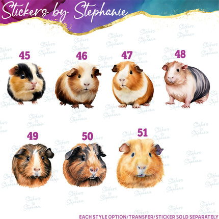 (s02A-279) Guinea Pig Illustrated Graphic Iron-On Transfer or Sticker