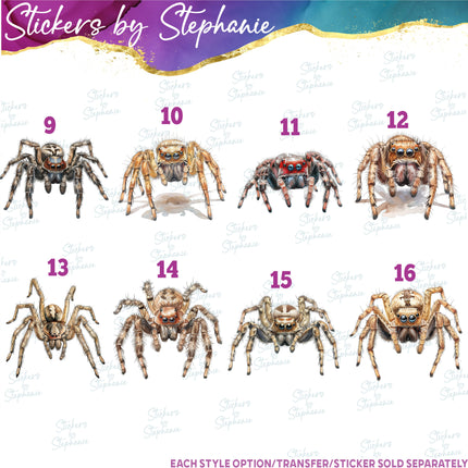 (s02A-339) Tarantula Spider Illustrated Graphic Iron-On Transfer or Sticker