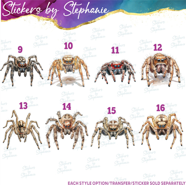 (s02A-339) Tarantula Spider Illustrated Graphic Iron-On Transfer or Sticker