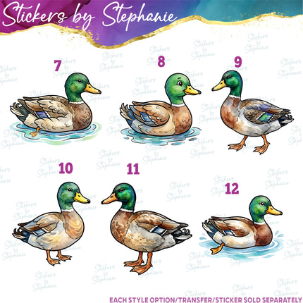 (s02A-360) Wood Duck Mallard Illustrated Graphic Iron-On Transfer or Sticker