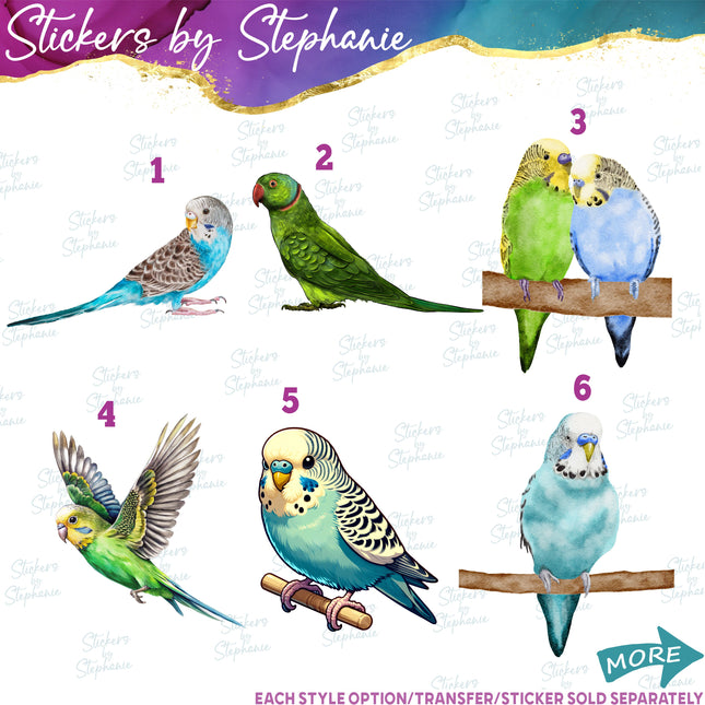 (s02A-004) Parakeet Illustrated Graphic Iron-On Transfer or Sticker
