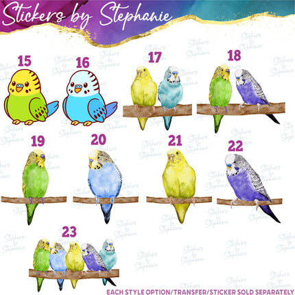 (s02A-004) Parakeet Illustrated Graphic Iron-On Transfer or Sticker