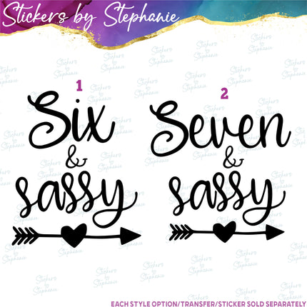 (s03-482) Six & Sassy Seven Iron-On Transfer or Sticker