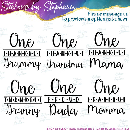 (s05-325) Mr One derful Custom Family Iron-On Transfer or Sticker