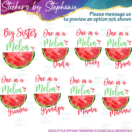 (s06-119) One in a Melon Family Custom Text Iron-On Transfer or Sticker