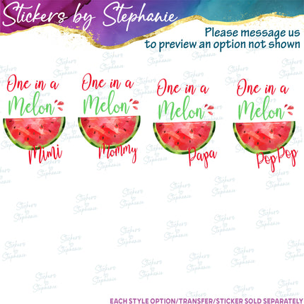(s06-119) One in a Melon Family Custom Text Iron-On Transfer or Sticker
