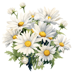 Collection image for: Flowers/Plants (+Fruit/Veggies), Seasons/Seasonal