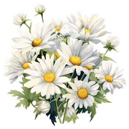 White Daisies Flowers Matte Iron-On Transfer